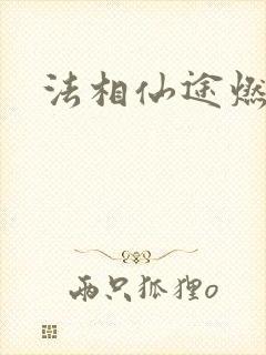 法相仙途燃文