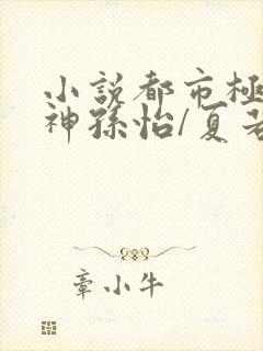 小说都市极品医神孙怡/夏若雪完全版