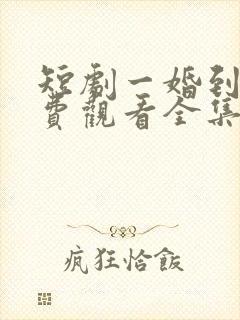 短剧一婚到底免费观看全集高清