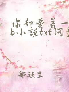 你却爱着一个sb小说txt网盘