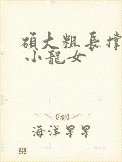 硕大粗长撑裂了 小龙女