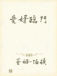 爱婿临门