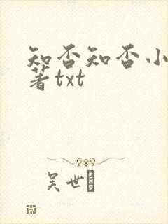 知否知否小说原著txt