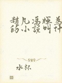 赵凡冯辉为主角的小说叫什么名字好听