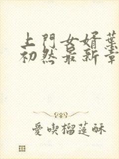 上门女婿叶辰萧初然最新章节