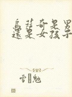 乌萨奇是男孩子还是女孩子