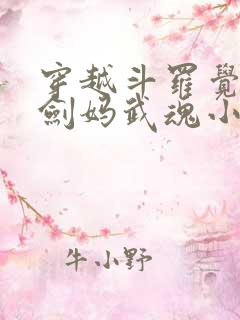 穿越斗罗觉醒老剑妈武魂小说