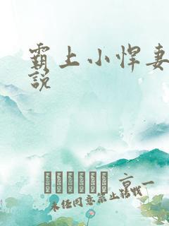 霸上小悍妻 小说