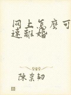 网上怎么可以快速离婚