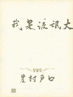 我是流氓大律师