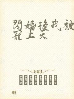 闪婚后我被大叔宠上天