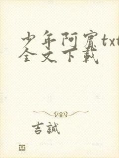 少年阿宾txt全文下载