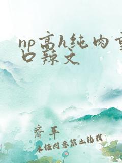 np高h纯肉重口辣文