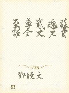 至尊武魂苏莫小说全文免费阅读