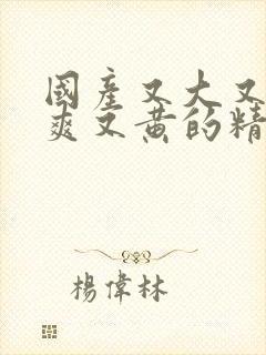 国产又大又硬又爽又黄的精品视频