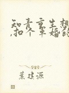 知青重生想逍遥,扣个军婚的小说