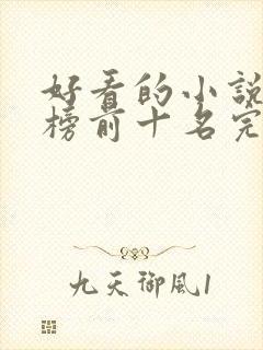 好看的小说排行榜前十名完结