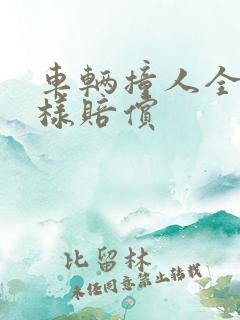 车辆撞人全责怎样赔偿