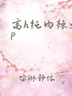 高h纯肉辣文np