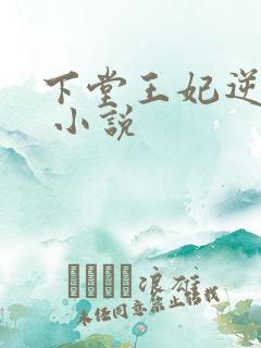 下堂王妃逆袭记 小说