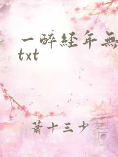 一醉经年无删减txt