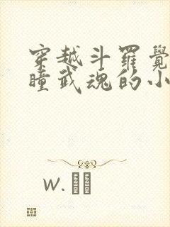 穿越斗罗觉醒重瞳武魂的小说