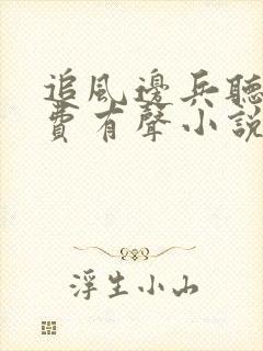 追风边兵听书免费有声小说