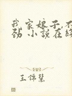 我家娘子,不对劲 小说在线阅读