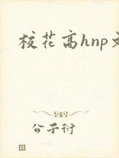 校花高hnp文