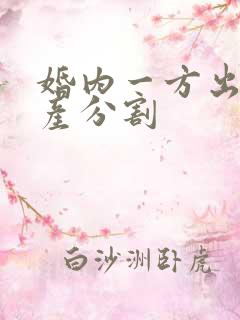 婚内一方出轨财产分割