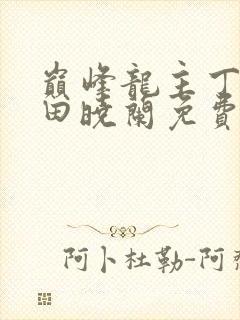 巅峰龙主丁长顺田晓兰免费阅读