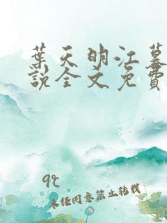 叶天明江暮婉小说全文免费