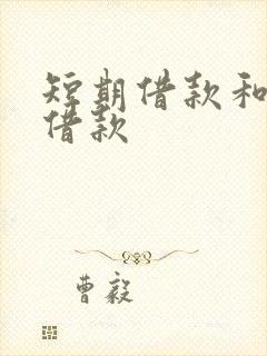 短期借款和长期借款