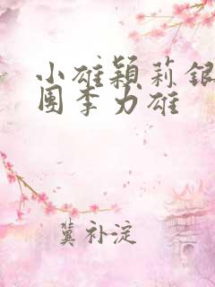 小雄颖莉银安集团李力雄