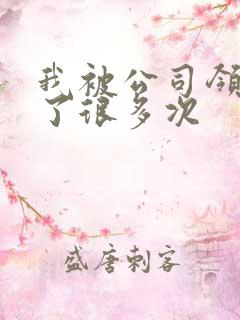 我被公司领导C了很多次