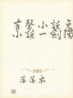 有声小说免费听小说一剑独尊