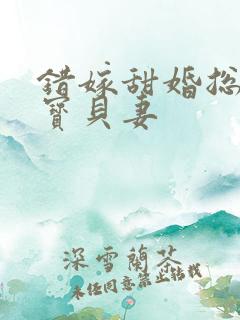 错嫁甜婚总裁的宝贝妻