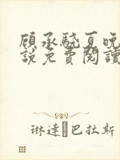 顾承骁夏晚宁小说免费阅读最新章节