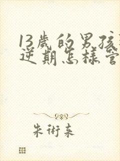 13岁的男孩叛逆期怎样管理