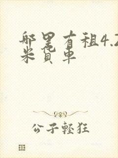 哪里有租4.2米货车