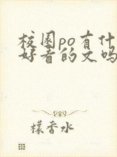 校园po有什么好看的文吗