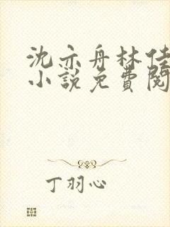 沈亦舟林佳沐的小说免费阅读