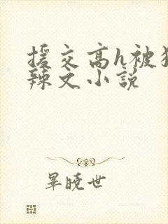 援交高h被狂c辣文小说