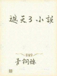 遮天3 小说