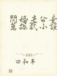 闪婚老公竟是亿万总裁小说小说