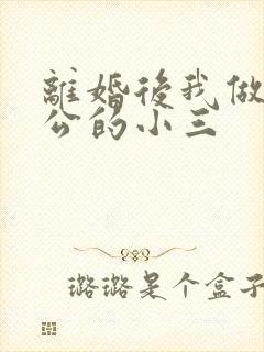 离婚后我做了老公的小三