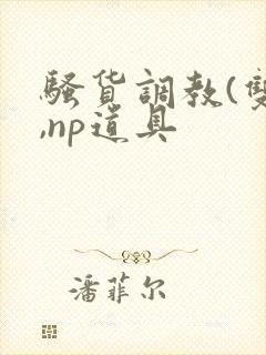 骚货调教(双性,np道具