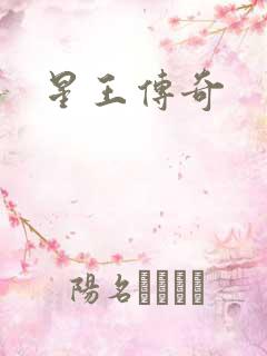 星王传奇