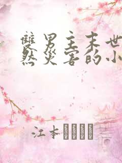 双男主末世文自然灾害的小说推荐