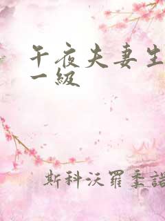 午夜夫妻生活片一级